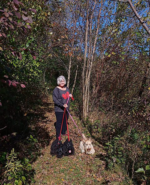 Susan walks her show dogs