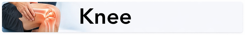Knee