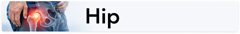 Hip