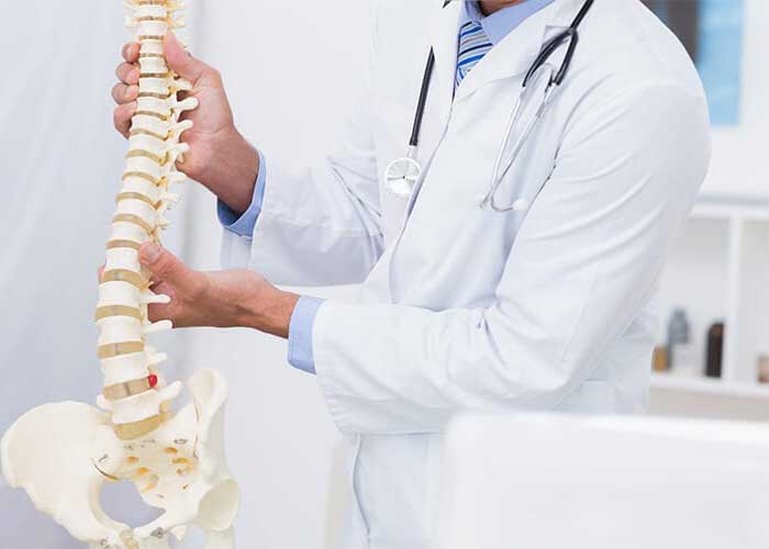 physician holding spine replica